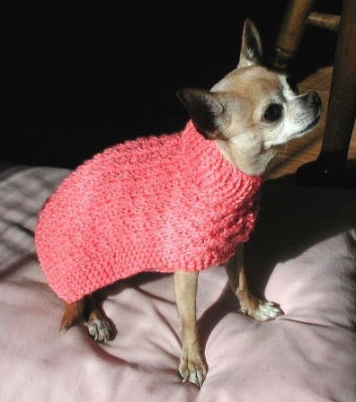 Free Knitting Patterns For Dog Sweaters - Doggie Stylish