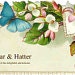 SugarandHatter