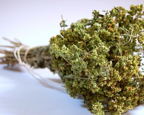 Oregano - Mediterranean Origanum quality seeds