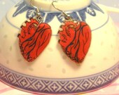 Heart Earrings, Anatomical