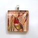 Victorian Hummingbird