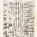 Knots & Splices 1871 Steampunk Victorian Era Nautical Illustration For Framing