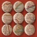 One Inch Magnet Set - Vintage North and South Carolina Map - One of a kind set
