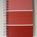 paint sample journal