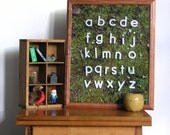 Alphabet Poster Moss Nature