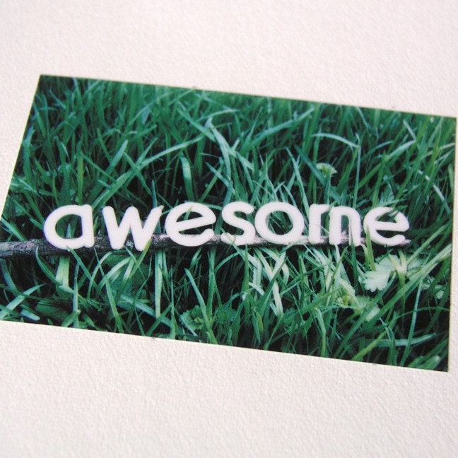Polaroid Pogo Photography Print - Awesome Grass