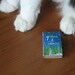 Grass Stars teensie tiny miniature zine