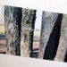 Polaroid Pogo Photography Print - Lovely as a Tree