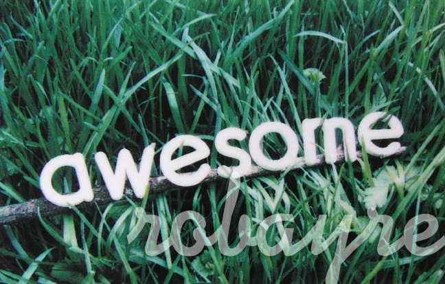 Polaroid Pogo Photography Print - Awesome Grass
