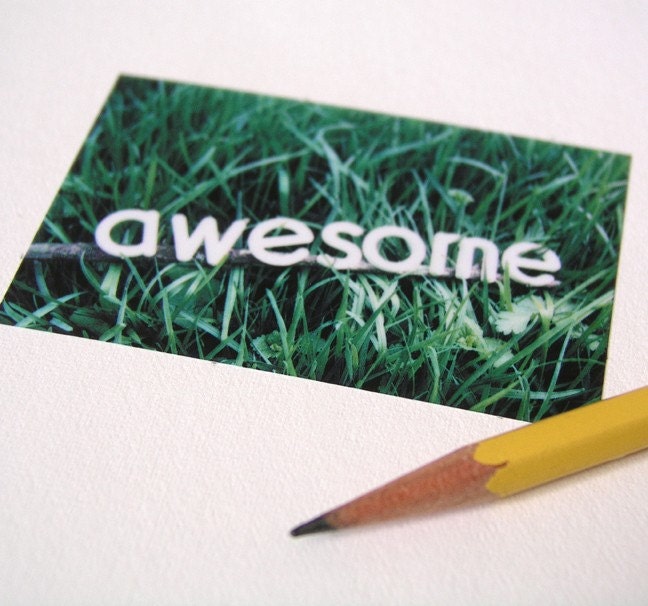 Polaroid Pogo Photography Print - Awesome Grass