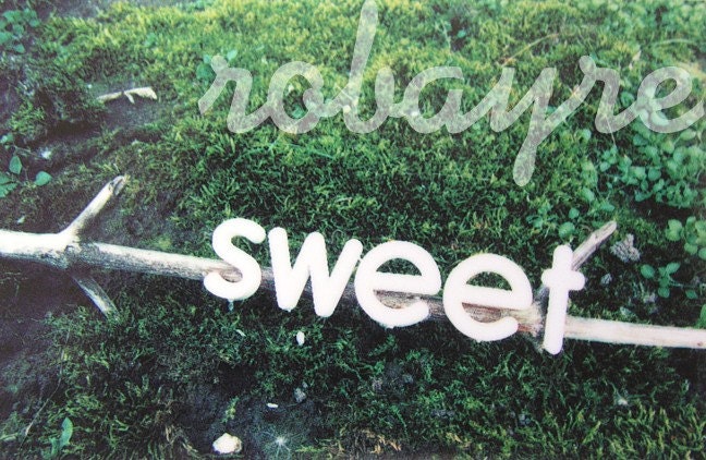 Polaroid Pogo Photography Print - Sweet Moss