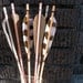 Safari Animal Print Arrows Wildlife Feathers Spotted Decor