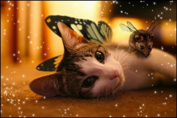 Photomanipulation for your pets.