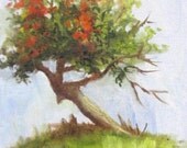 Crabapple Tree Study BarbaraHaviland landscape miniature oil panting canvas Texas Painter