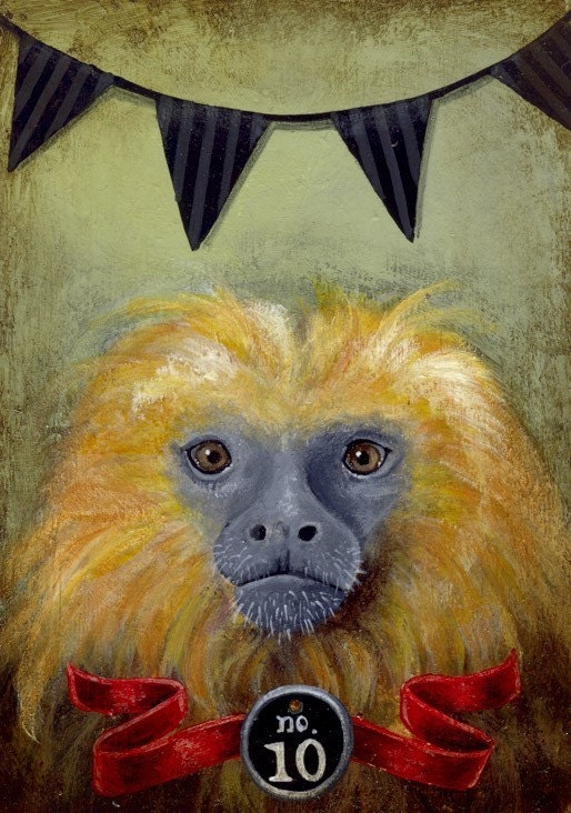 Fine Art Monkey Print: Golden Tamarin