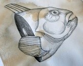 Original Fish Drawing: Wolffish