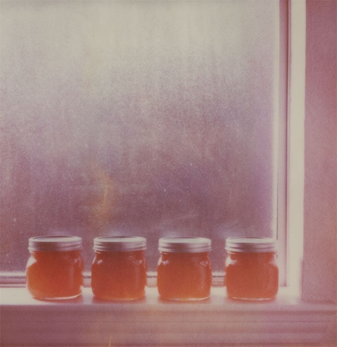 Polaroid Print 8x8 - My First Jam - Fine Art Photography