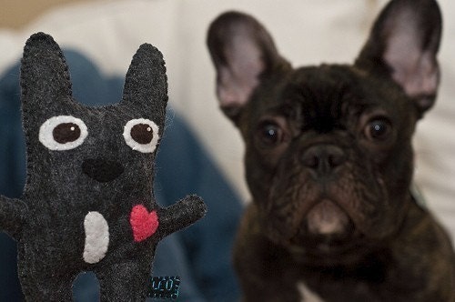 Custom Order Stuffies