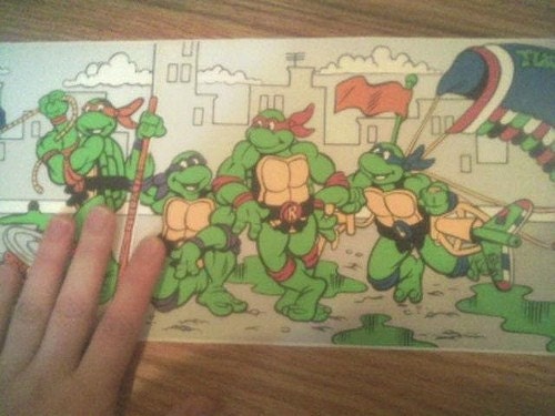 Teenage Mutant Ninja Turtle Wallpaper Border for Collage, 9 Feet