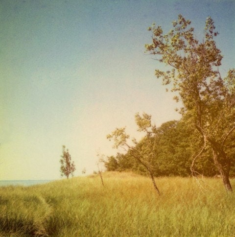Polaroid Photograph - Landscape Photograph - Beach Photography - Michigan - Fine Art Photograph- The View From Above- Signed- Alicia Bock