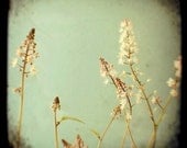 fairyland- Origninal Signed Fine Art Photograph