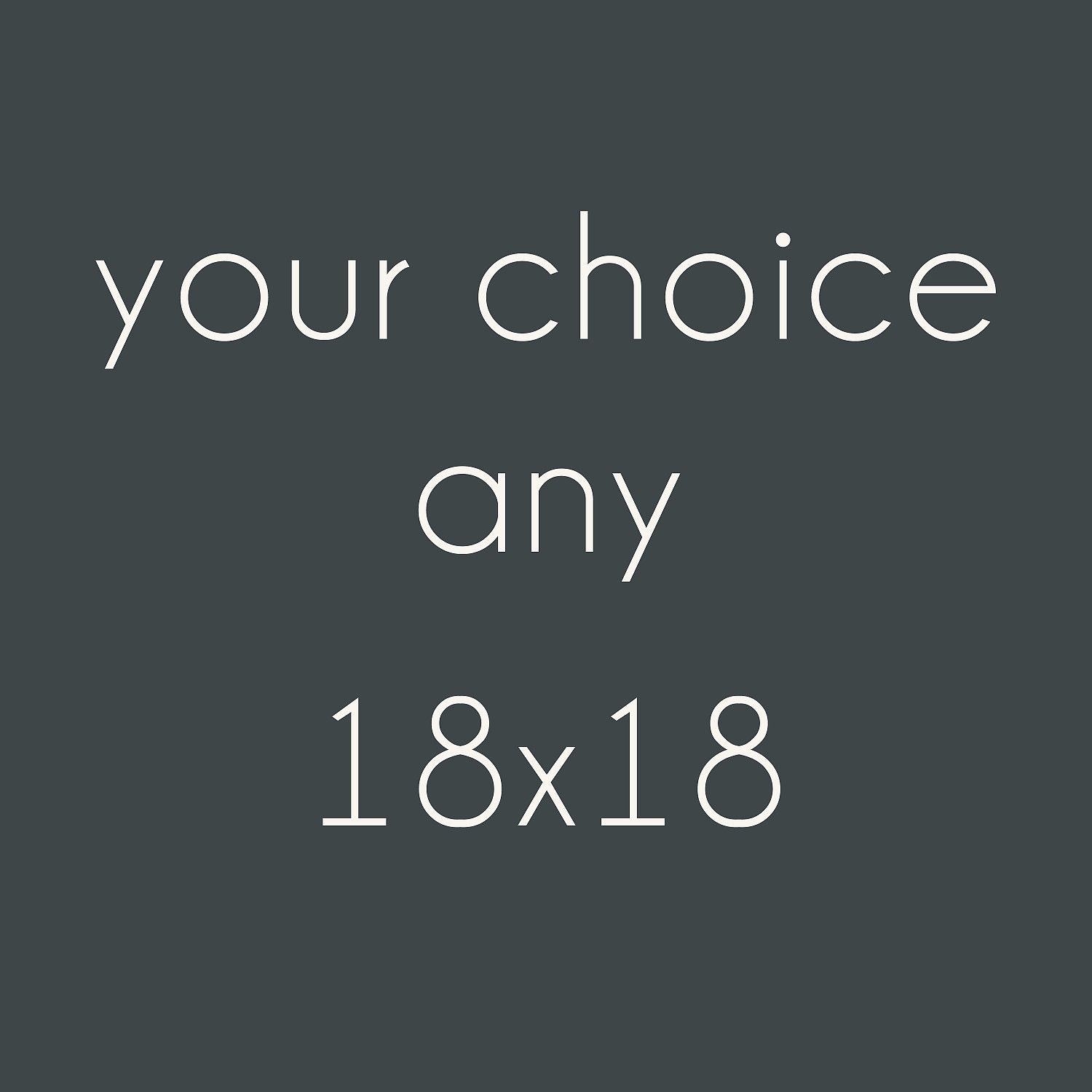 Your Choice- Large Photograph 18x18