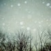 Visions- Orginal Signed Fine Art Photograph