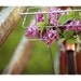 Bike Photograph - Bicycle - Lilac - Spring Photograph - Flower Photography - This Is A Love Story - Signed Fine Art Photograph