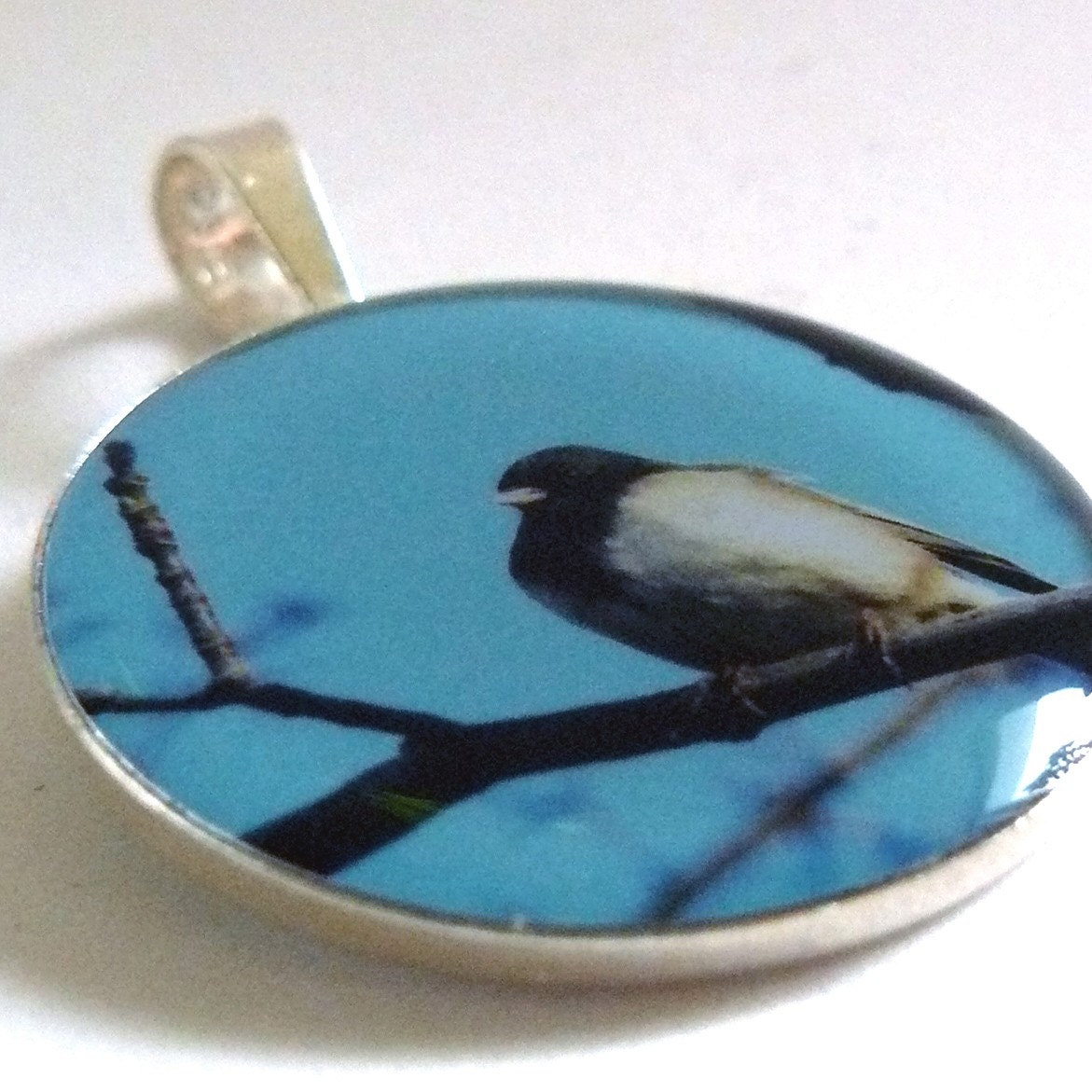 Photo Pendant, Jenny's Junco, Circle X-large