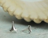 Shark Teeth Stud Earrings - Lookin' Sharp - in sterling silver by Kathryn Riechert
