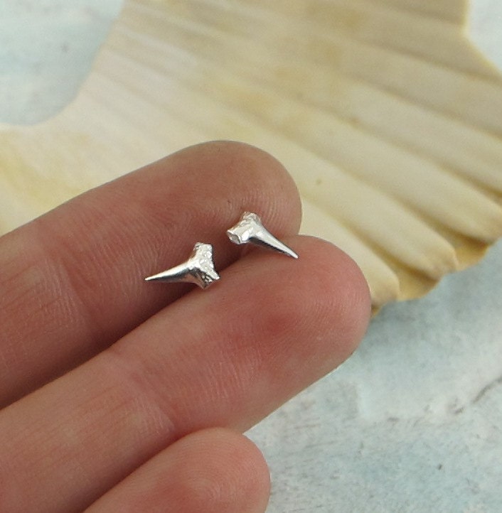 Shark Teeth Stud Earrings - Lookin' Sharp - in sterling silver by Kathryn Riechert