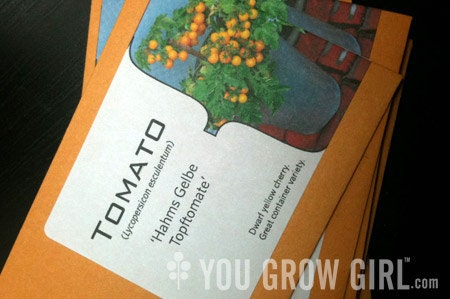 Hahms Gelbe Topftomate - RARE Dwarf Yellow Tomato