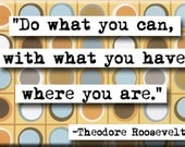 Theodore Roosevelt quote Magnet No.242)