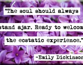 Emily Dickinson  Quote Magnet (no.142)