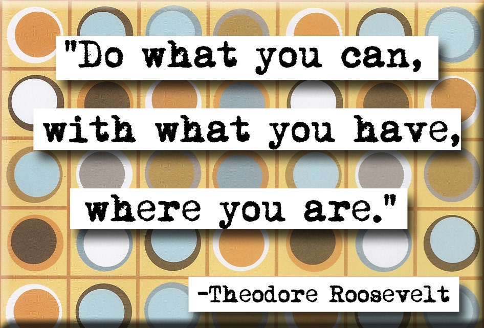 Theodore Roosevelt quote Magnet No.242)