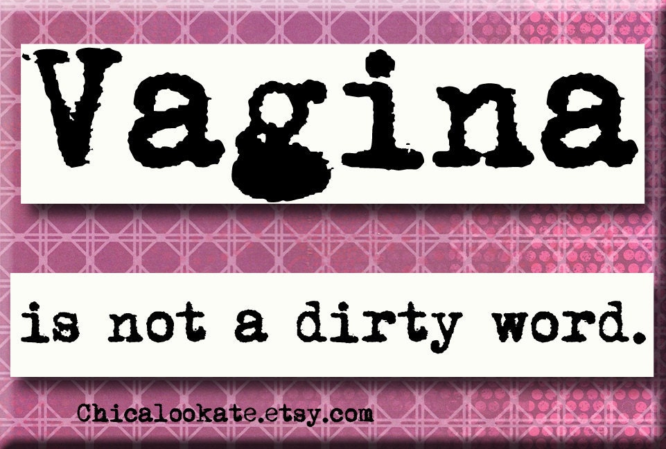 Vagina is not a dirty word pin back button