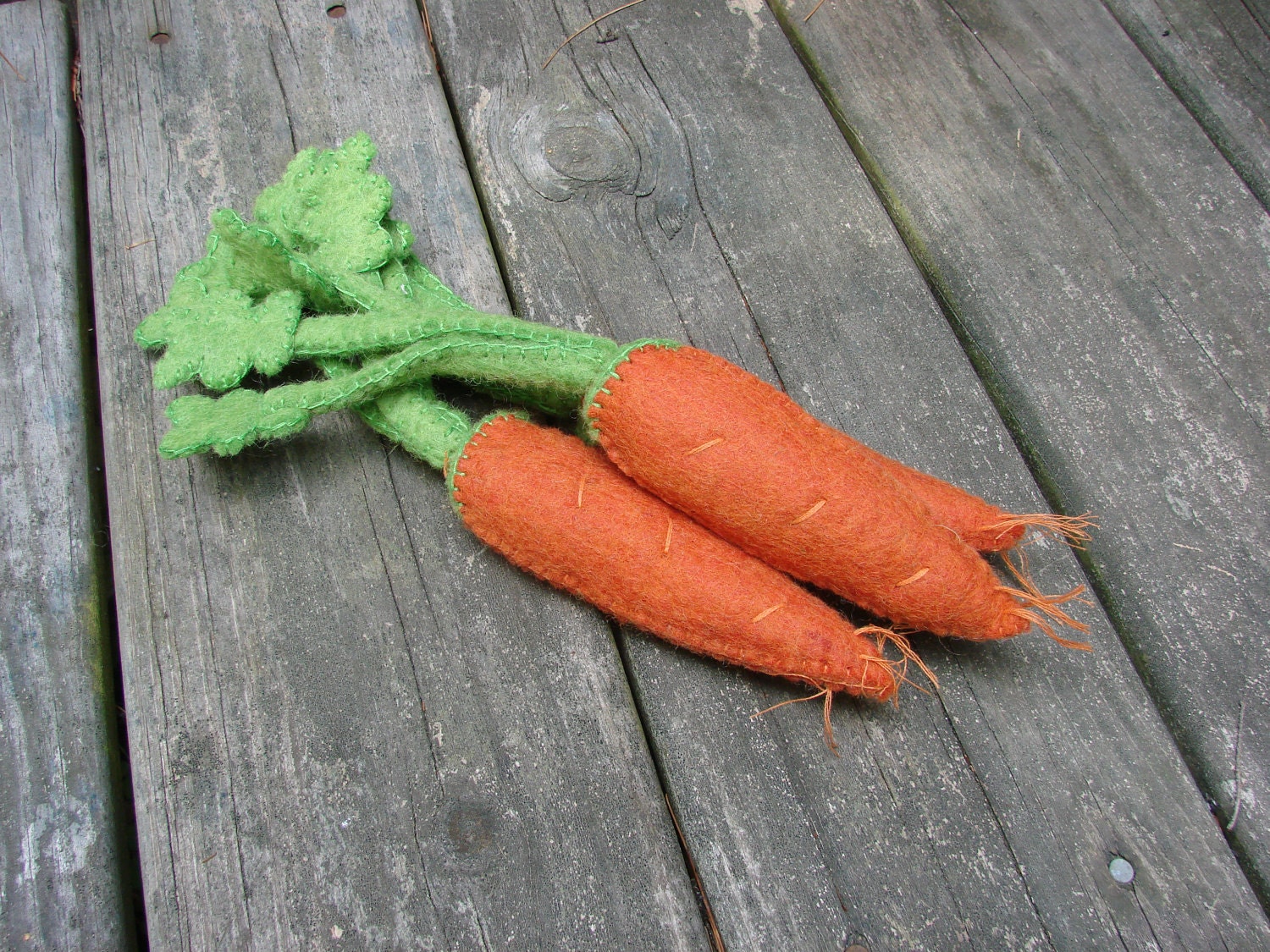 Bunch of Carrots - MothersMoon