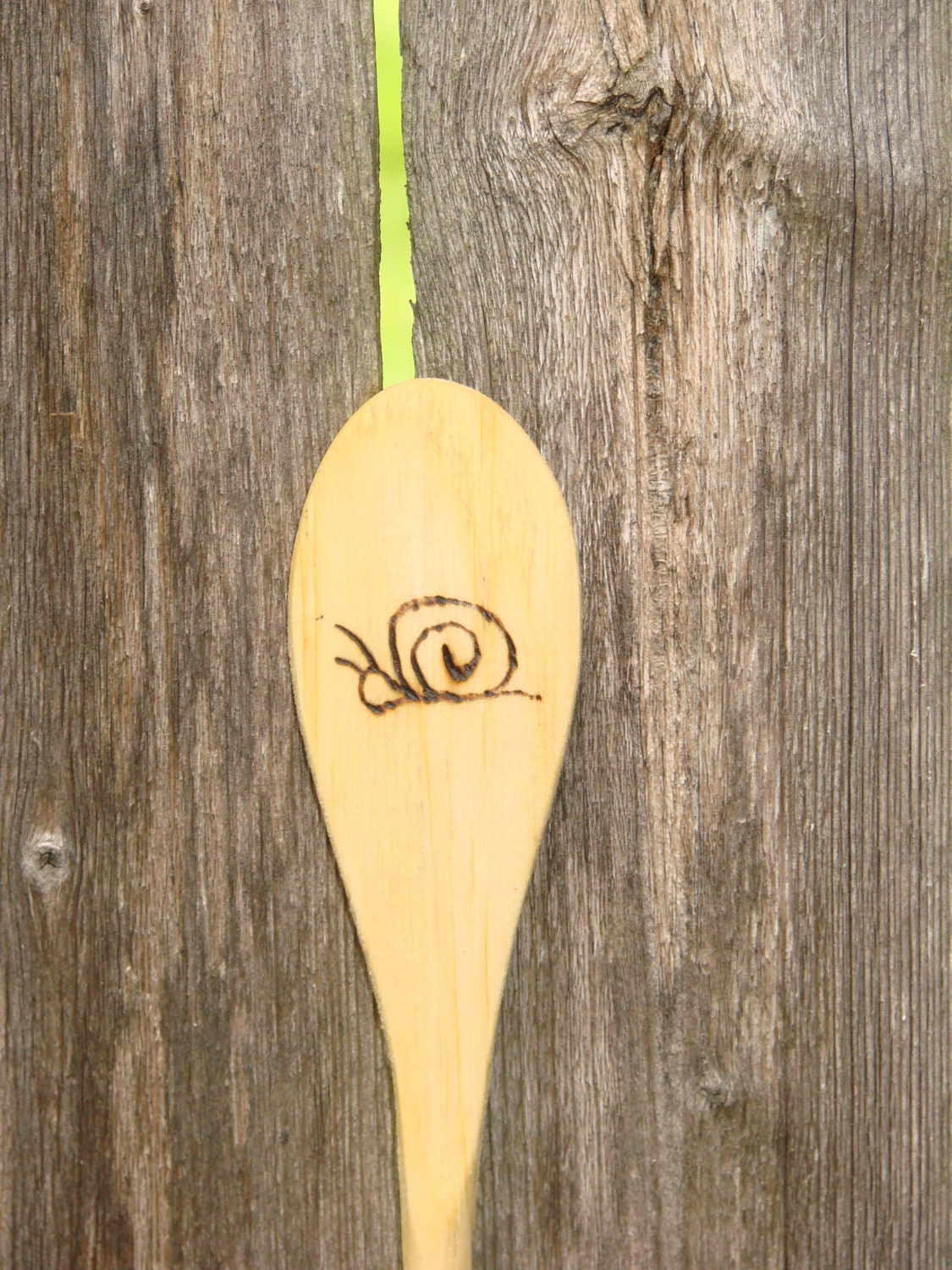 Woodburned Wooden Spoon (snail)