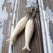 Fish Earrings, vintage ivory acrylic fish, swivel snaps, nature-inspired jewelry, nautical fashion, eco, summer fashion