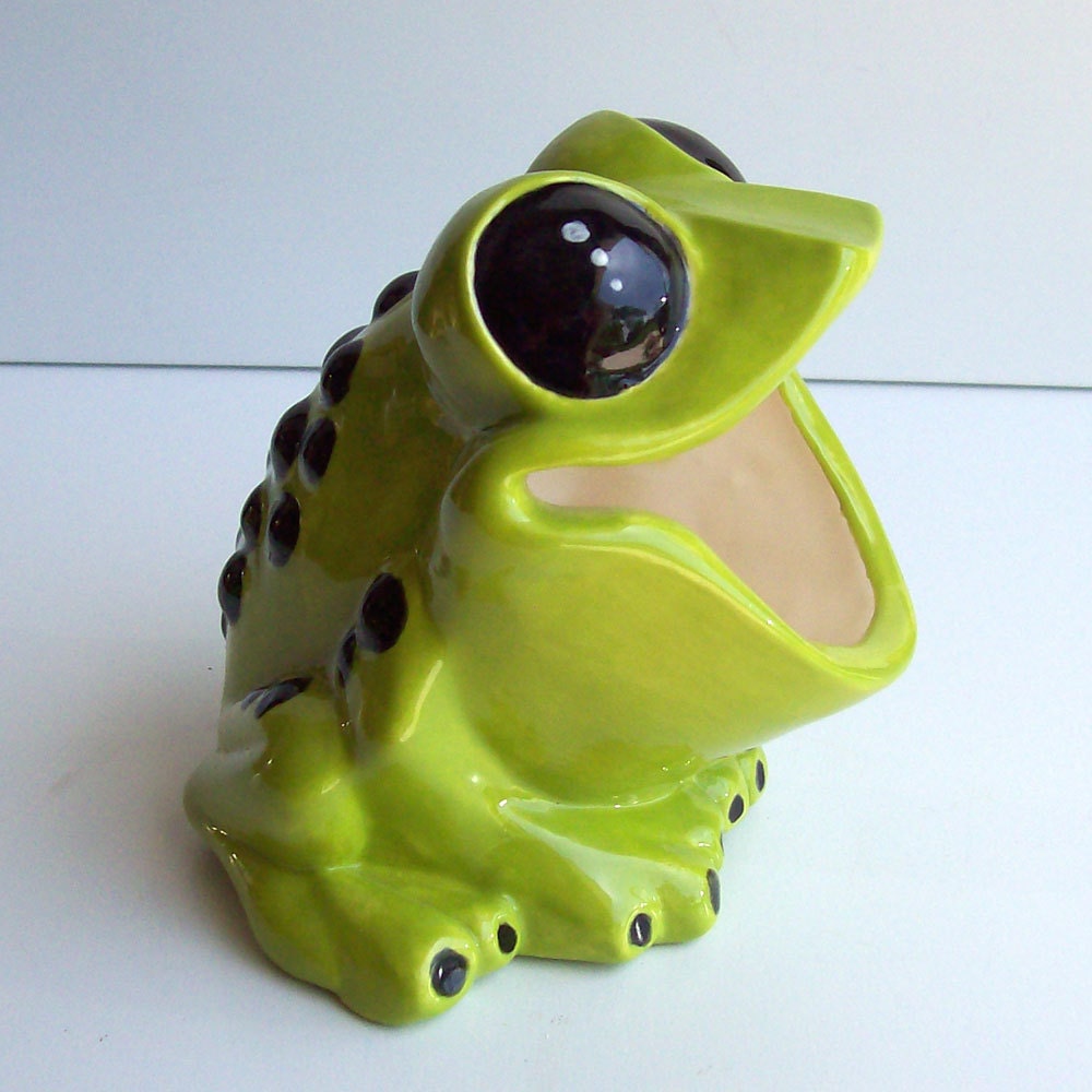 Tree Frog Sponge holder  In Apple Green