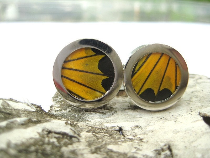 Real Butterfly Wing Cuff Links - fly away with me, yellow birdwing menswear