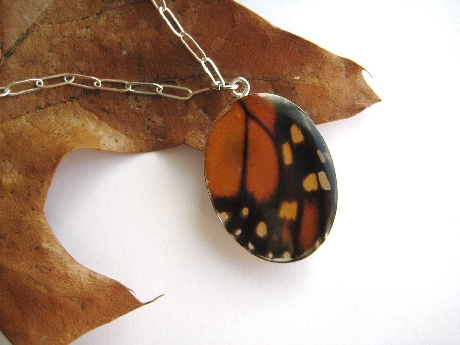 Real Butterfly Wing Jewelry -  Orange monarch necklace