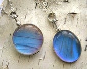 Real Butterfly Wing Glass Necklace, blue morpho - choose round or oval (made to order)