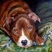 Custom Dog Portrait Original Commission, boxer dog art 7 x7 or 6 x 8 - Sample is Sarge, my boxer boy