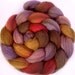 Handpainted Heathered BFL Roving - 4 oz. HUCKLEBERRY TRUFFLE - Spinning Fiber