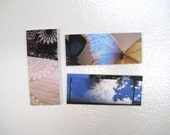 Fridge Art - 3 Magnets - Gossamer Glimpse set