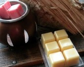 Soy Clamshell Tart Melts, Lemon Verbena Mint