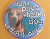 dont pity a pit bull ... adopt one instead .. badge