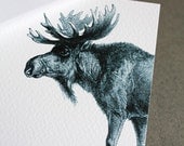 Moose Notecard