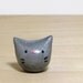 Silver Pocket Kitty